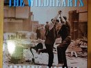 The WiLDHEARTS Anarchic Airwaves Live at BBC vinyl original LP 1996