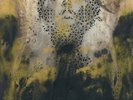 NEW SUPER RARE Converge - Jane Live Clear Vinyl LP Thomas Hooper Edition