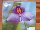 DJ Cam Underground Vibes LP - First Pressing Instrumental Hip Hop Vinyl Records