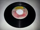 WILD FLOWER/BABYLON BURNING - BOBBY SOUL & THE RIGHTEOUS FLAMES [ROOTS REGGAE]