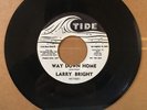 Larry Bright - Way Down Home/Bloodhound * Tide Rockabilly 45 Promo NM