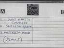 Paul McCartney and Elvis Costello Flowers In The Dirt Demos Cassette RSD 2017