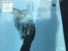 Sunny Day Real Estate The Rising Tide Record Store Day 2017 Rare