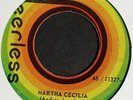 ALEJANDRO BERNAL MARTHA CECILIA CUMBIA ORGANO MOOG AFRO ASESINA EXITO FANTASMA
