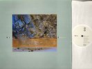 DIF JUZ extractions (1st uk press) LP EX+/EX CAD 505 uk 4ad 1985