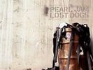 Lost Dogs: Rarities and B Sides by Pearl Jam (Vinyl, Jan-2004, 3 Discs, Epic...