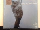 SUNNY DAY REAL ESTATE 