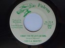 1967 Minnesota Garage Rock 45 THE C.A. QUINTET I Want You To Love Me Girl FALCON