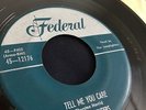THE LAMPLIGHTERS Tell Me You Care / I Used To Cry Mercy Mercy   FEDERAL 12176