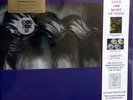 ART OF NOISE MOMENTS IN LOVE RSD 2017 LIMITED EDITION PURPLE VINYL 12