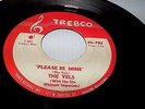 THE VELS Tim Whitsett Imperials - Mysterious Teenager (Rare Doo Wop 45) Trebco