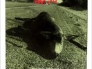 PEARL JAM 45 Who Killed Rudolph SONIC REDUCER /Ramblings XMAS FAN CLUB Rec HEAR