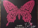 Fantastic Plastic Machine - Beautiful (2xLP, Album) autographed