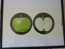 Beatles uncut and unprinted APPLE record labels