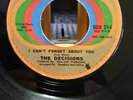 THE DECISIONS - I Can't Forget About You/It's Love That Really Counts - SUSSEX (