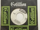 The Velvet Underground 45 Who Loves The Sun MONO Cotillion WLP Promo Lou Reed