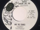 Northern Soul And The Echoes 45 Soultrain Lbl. DJ
