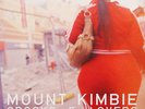 Mount Kimbie ?– Crooks & Lovers NEW Hotflush Recordings HFLP004 VINYL 2 X 12