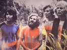 TAMAM SHUD - Evolution (Soundtrack) (reissue) - Vinyl (LP)
