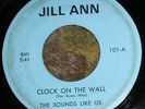 PRIVATE 1966 MN Rock 45 - THE SOUNDS LIKE US 
