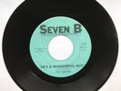 Northern Soul, Pat Brown,He's A Wonderful Guy/The Good Got To Suffer For The Bad