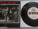 Radio Birdman - Burn My Eye 1987 Total Eclipse Re-issue 7
