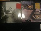 Georg Danzer Geh In Oasch+ Daham bleibt daham 2 x RSD 2017 Vinyl 7 Lim.333