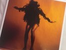 the last shadow puppets vinyl