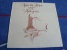 PYTHAGORAS - AFTER THE SILENCE RARE DUTCH PROG SYNTH PSYCH ELECTRONIC