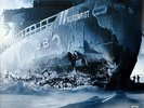 Rammstein - Rosenrot 12 Inch Vinyl LP Record Remastered 180 g New