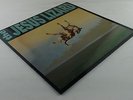 THE JESUS LIZARD - Down LP  1°ST UK Press  STUNNING AUDIO  Original Inner