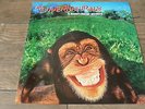 The Supernaturals - It Doesn't Matter Anymore 1997 UK VINYL LP FOOD BRITPOP
