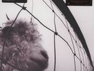 Pearl Jam VS New Vinyl LP Vs. (180gm Gatefold)