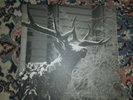 Agalloch - The Mantle 2xLP Master Release Grey Vinyl