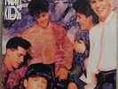 ?? 33 T  VINYL - NEW KIDS ON THE BLOCK - STEP BY STEP ??