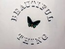 The Stone Roses Beautiful Thing Sealed 12