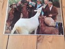THE BEACH BOYS - PET SOUNDS - 12