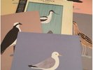 Bert Jansch LP Avocet / + Set Of 6 Prints / Rare Limited Vinyl