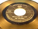 THE VOLUMES - Gotta Give Her Love / I Can't Live Without You - 1964 USA PRESSING