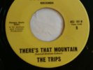 Northern Soul 'Theres that mountain/ love cant be modetnized' The Trips