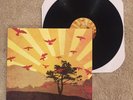 HAVE HEART The Things We Carry LP Black Vinyl limited to 100 Chain B9 In My Eyes