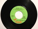 Steve Hackett: Star of Sirius | Rare Mono/Stereo US Promo 45 Chrysalis PRO-633
