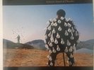Pink Floyd 33 Lp Vinile Delicate Sound Of Thunder