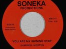 Modern Soul Gospel 45 - Sharnell Morton - You Are My Shining Star - Soneka - mp3