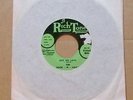 The Rock n Souls Got No Love / Not Like You rare 1966 US Rich Tone label 45