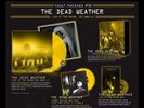 The Dead Weather Third Man Records Vault Package 32 Jack White Horehound