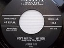 JESSIE LEE & RHYTHMAIRES doowop 45 WON'T HAVE TO ANY MORE LONELY BROKEN  F2520