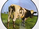 pink floyd  atom heart mother picture disc shvl 781p
