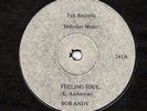 RARE FAB 241 ** BOB ANDY - FEELING SOUL ** 7