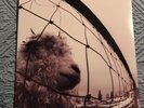 Vs. [LP] by Pearl Jam (Vinyl, Oct-1993, Epic Associated)